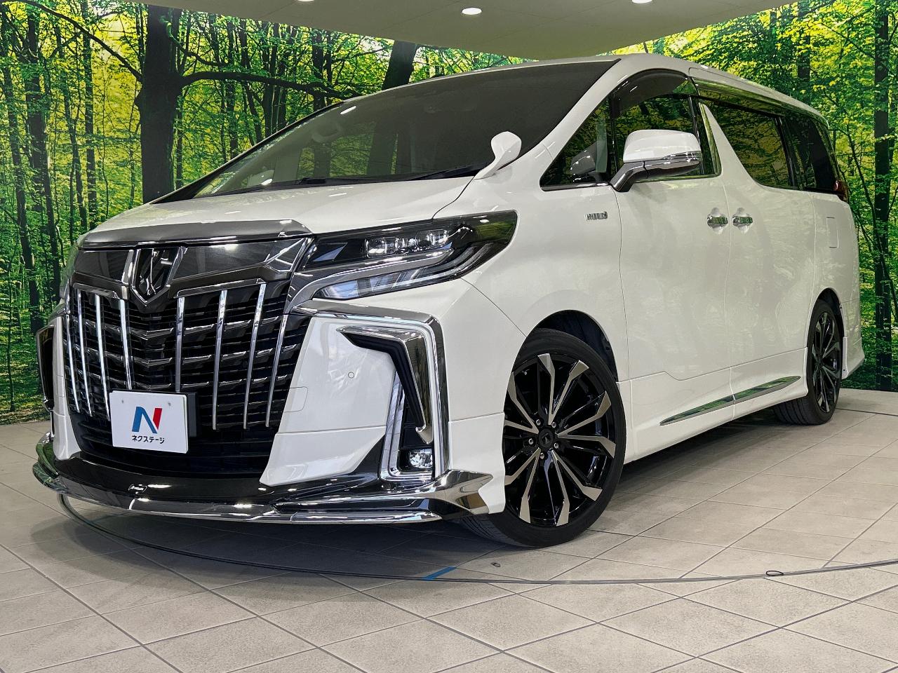 2019 Toyota Alphard DBA-AGH30W