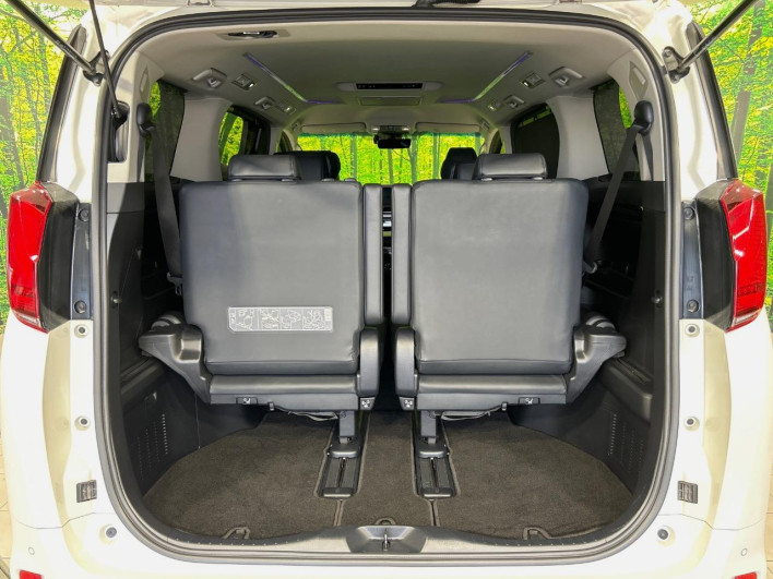 2019 Toyota Alphard DBA-AGH30W (UW-69f020f696c1a)[24]