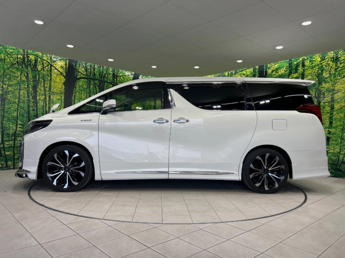 2019 Toyota Alphard DBA-AGH30W (UW-69f020f696c1a)[14]