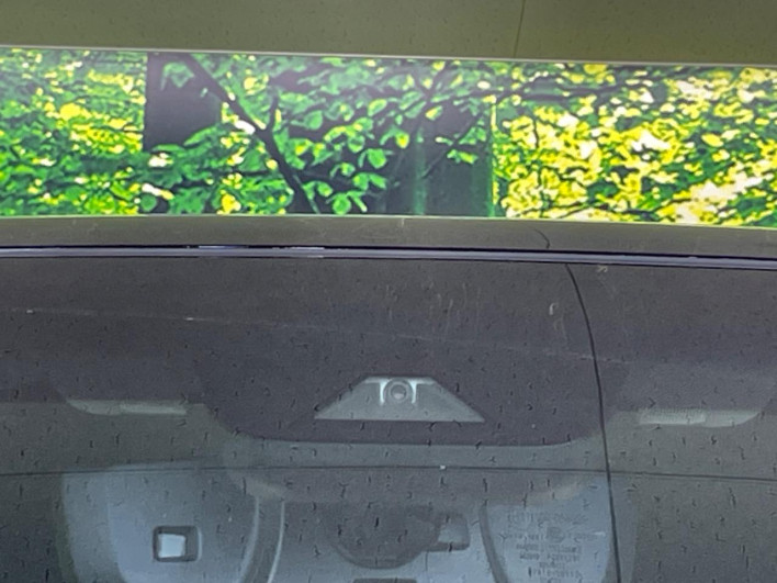 2019 Toyota Alphard DBA-AGH30W (UW-69f020f7be2f6)[4]