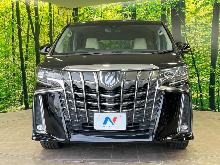 2019 Toyota Alphard DBA-AGH30W (UW-69f020f7be2f6)[18]
