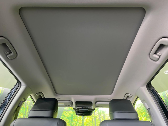 2026 Toyota RAV4 6AA-AXAN64 (UW-69f021023ea9c)[23]