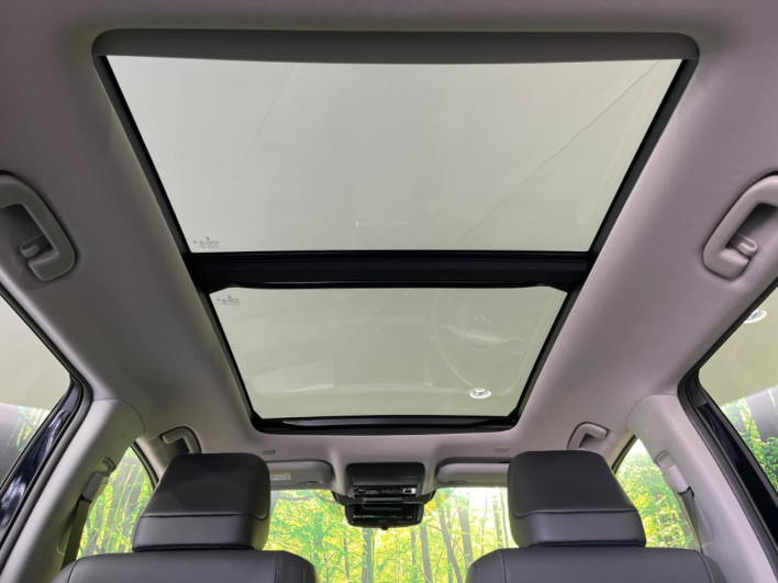 2026 Toyota RAV4 6AA-AXAN64 (UW-69f021023ea9c)[24]