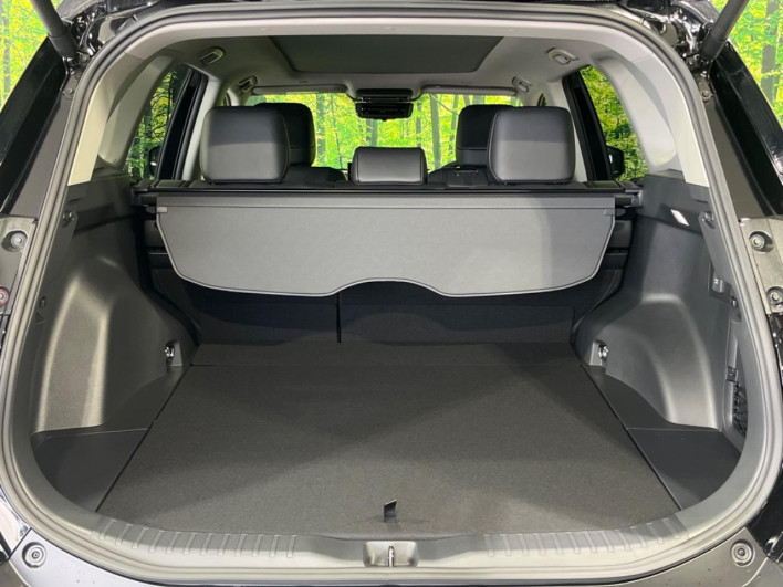 2026 Toyota RAV4 6AA-AXAN64 (UW-69f021023ea9c)[21]