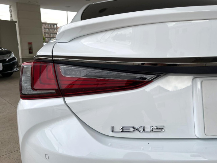 2019 Lexus ES 6AA-AXZH10 (UW-69f02108225de)[10]