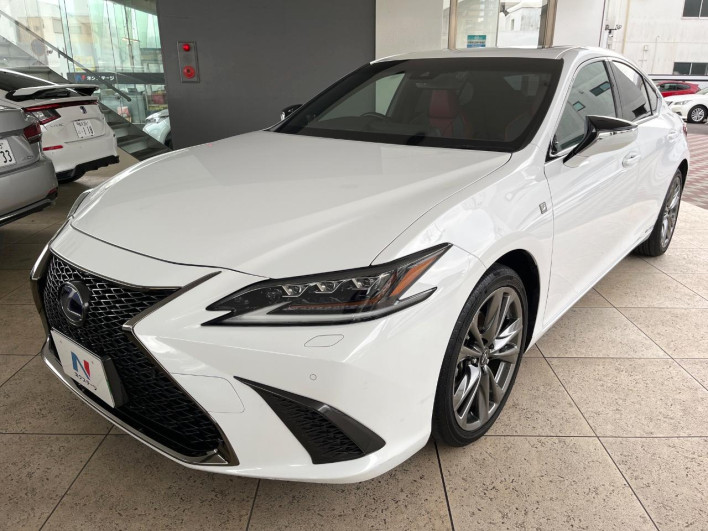 2019 Lexus ES 6AA-AXZH10 (UW-69f02108225de)[21]