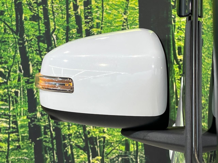 2018 Nissan DAYZ ROOX DBA-B21A (UW-69f0210ec961a)[24]