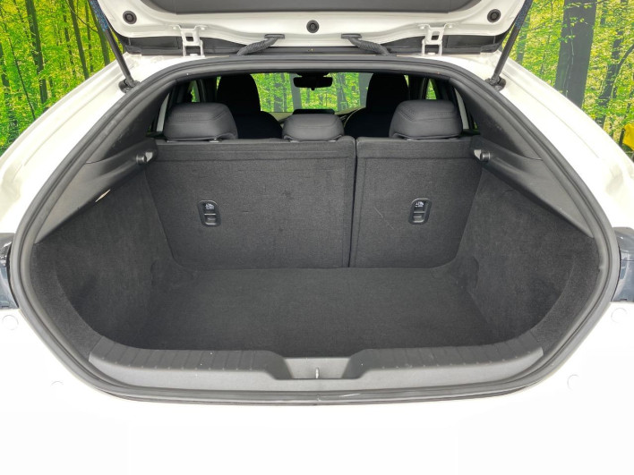 2019 Mazda Mazda 3 Fastback 6BA-BP5P (UW-69f02121e3556)[29]