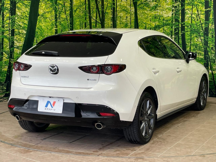 2019 Mazda Mazda 3 Fastback 6BA-BP5P (UW-69f02121e3556)[9]