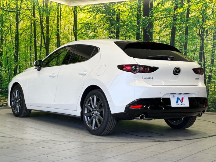 2020 Mazda Mazda 3 Fastback 5BA-BPFP (UW-69f02122a256c)[19]