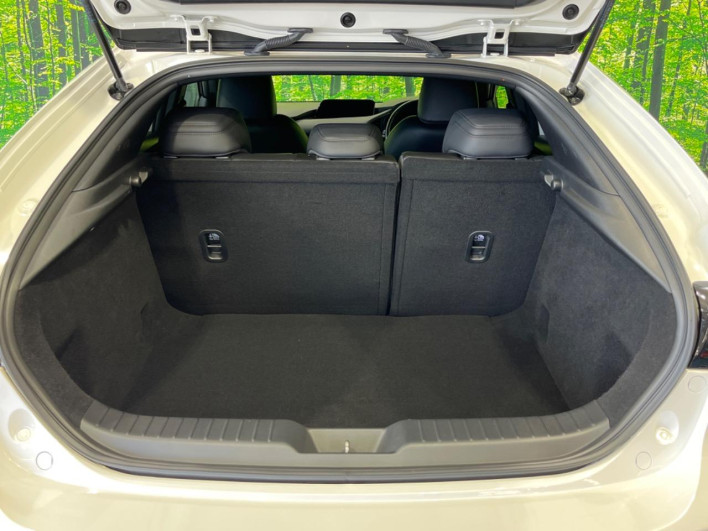 2020 Mazda Mazda 3 Fastback 5BA-BPFP (UW-69f02122a256c)[14]