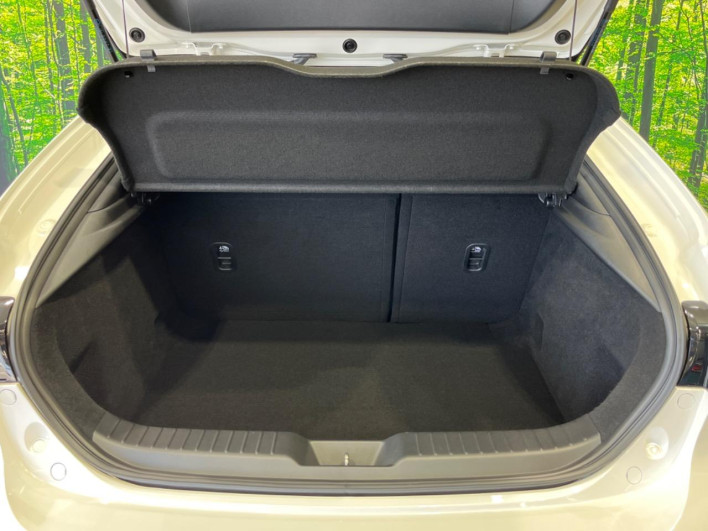 2020 Mazda Mazda 3 Fastback 5BA-BPFP (UW-69f02122a256c)[13]