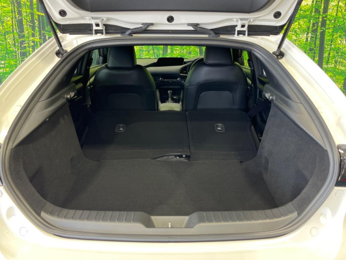 2020 Mazda Mazda 3 Fastback 5BA-BPFP (UW-69f02122a256c)[15]