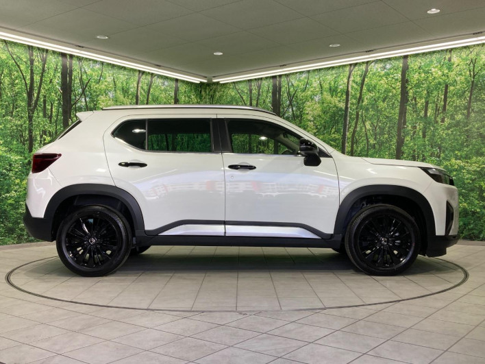 2025 Honda WR-V 5BA-DG5 (UW-69f021254a0c1)[29]