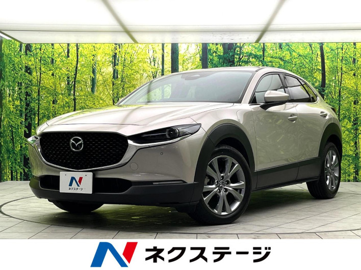 2024 Mazda CX-30 5AA-DMEJ3R (UW-69f02129212cf)[3]