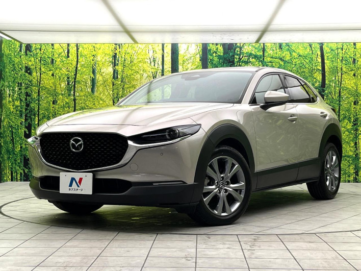 2024 Mazda CX-30 5AA-DMEJ3R (UW-69f02129212cf)[0]