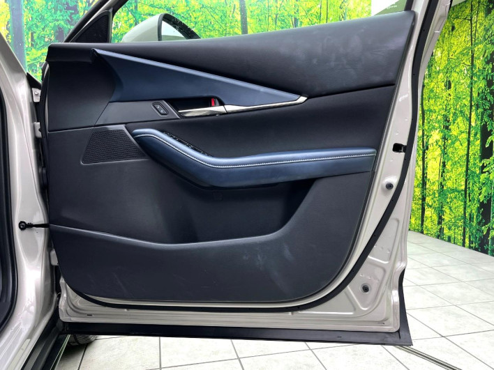 2024 Mazda CX-30 5AA-DMEJ3R (UW-69f02129212cf)[5]