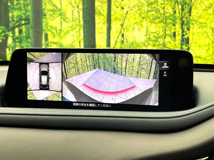 2024 Mazda CX-30 5AA-DMEJ3R (UW-69f02129212cf)[26]