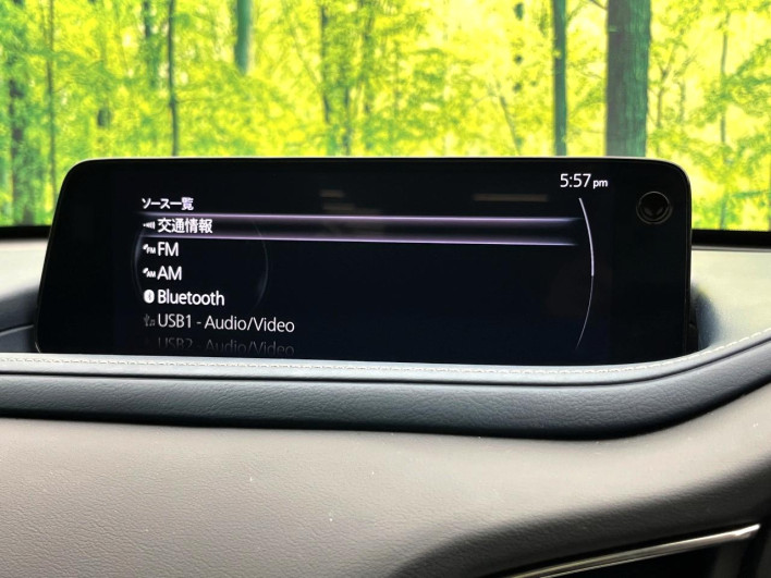 2024 Mazda CX-30 5AA-DMEJ3R (UW-69f02129212cf)[25]