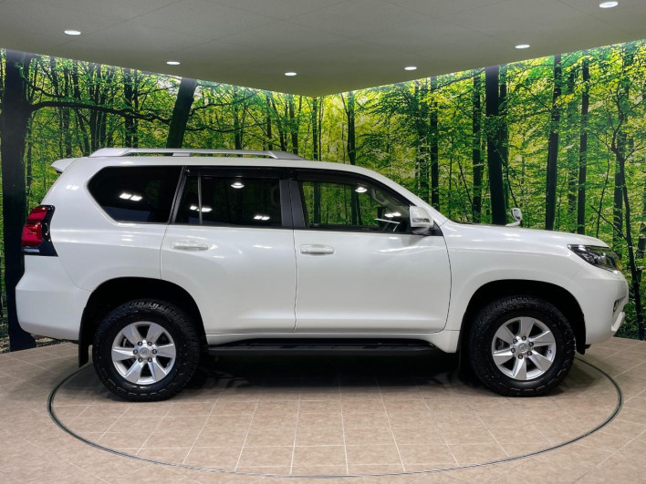2019 Toyota Land Cruiser Prado LDA-GDJ150W (UW-69f02135d32b5)[10]