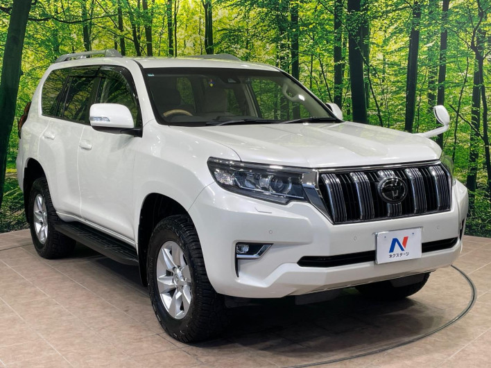2019 Toyota Land Cruiser Prado LDA-GDJ150W (UW-69f02135d32b5)[11]