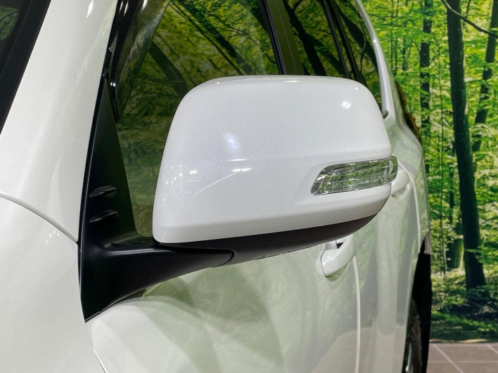 2019 Toyota Land Cruiser Prado LDA-GDJ150W (UW-69f02135d32b5)[14]