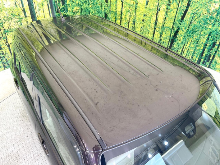 2019 Suzuki ALTO Lapin DBA-HE33S (UW-69f0214f292bd)[6]