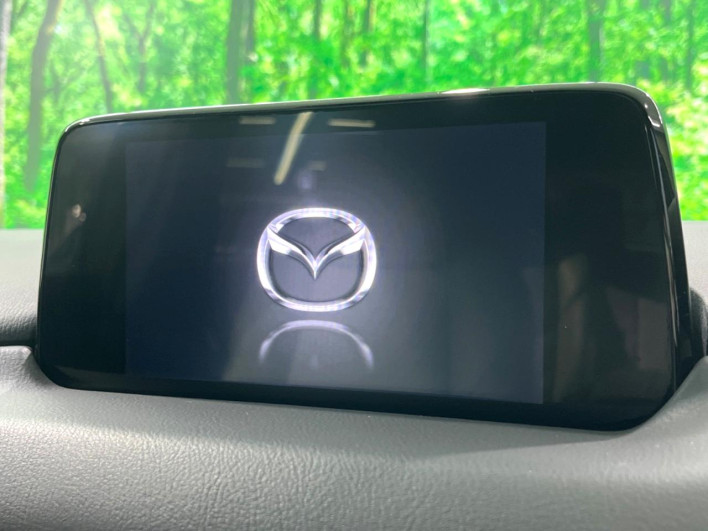 2019 Mazda CX-8 3da-kg2p (UW-69f0217a09ef4)[29]
