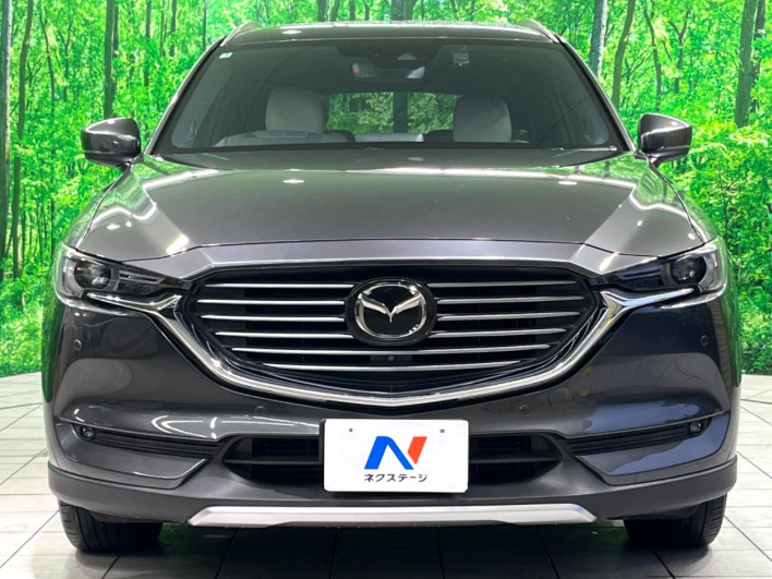 2019 Mazda CX-8 3da-kg2p (UW-69f0217a09ef4)[5]