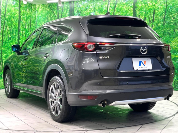 2019 Mazda CX-8 3da-kg2p (UW-69f0217a09ef4)[7]