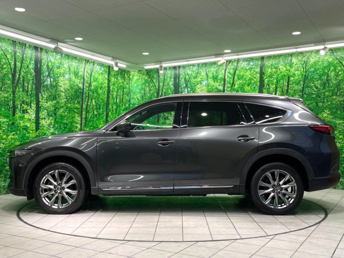2019 Mazda CX-8 3da-kg2p (UW-69f0217a09ef4)[6]
