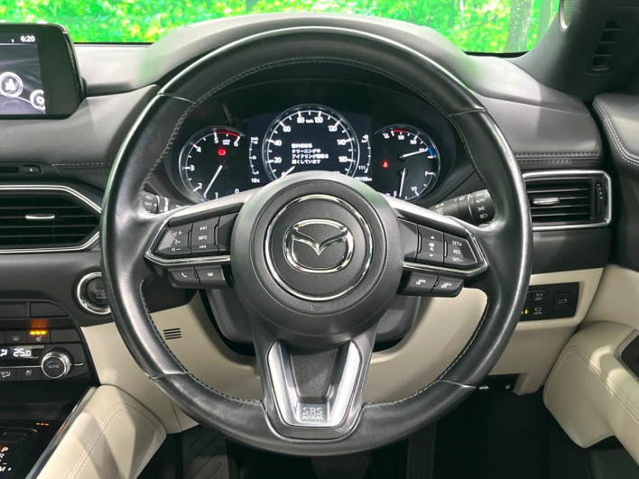 2019 Mazda CX-8 3da-kg2p (UW-69f0217a09ef4)[25]