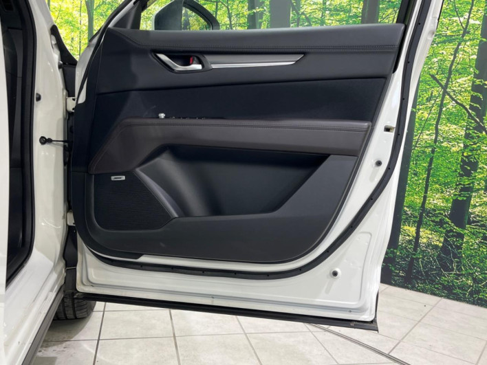 2019 Mazda CX-8 3da-kg2p (UW-69f0217b01fae)[29]