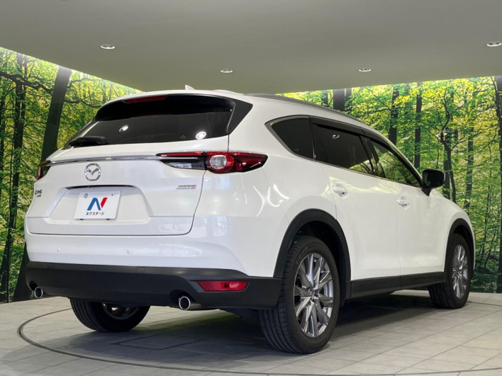 2019 Mazda CX-8 3da-kg2p (UW-69f0217b01fae)[14]