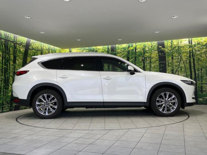 2019 Mazda CX-8 3da-kg2p (UW-69f0217b01fae)[9]