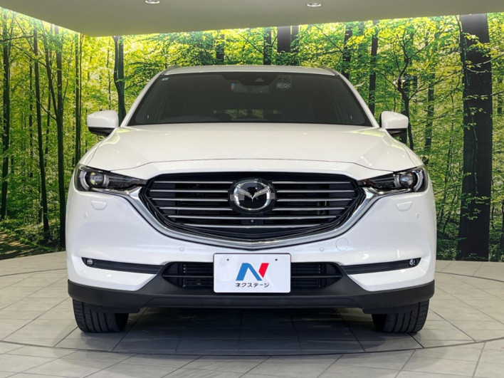 2019 Mazda CX-8 3da-kg2p (UW-69f0217b01fae)[7]