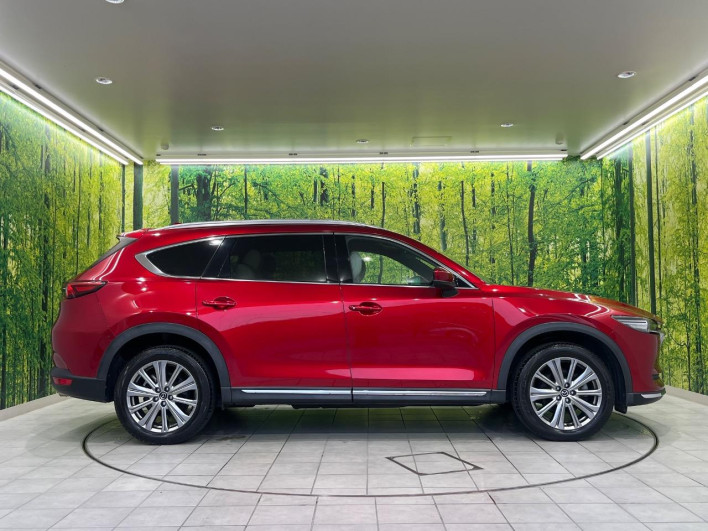 2021 Mazda CX-8 3da-kg2p (UW-69f0217bc9853)[19]