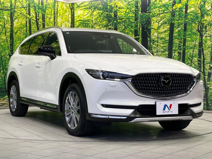 2021 Mazda CX-8 3da-kg2p (UW-69f0217bd2c90)[5]