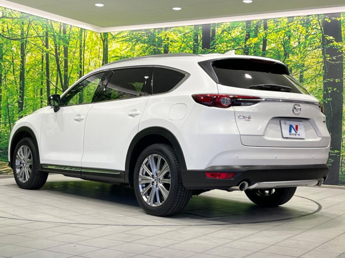 2021 Mazda CX-8 3da-kg2p (UW-69f0217bd2c90)[18]