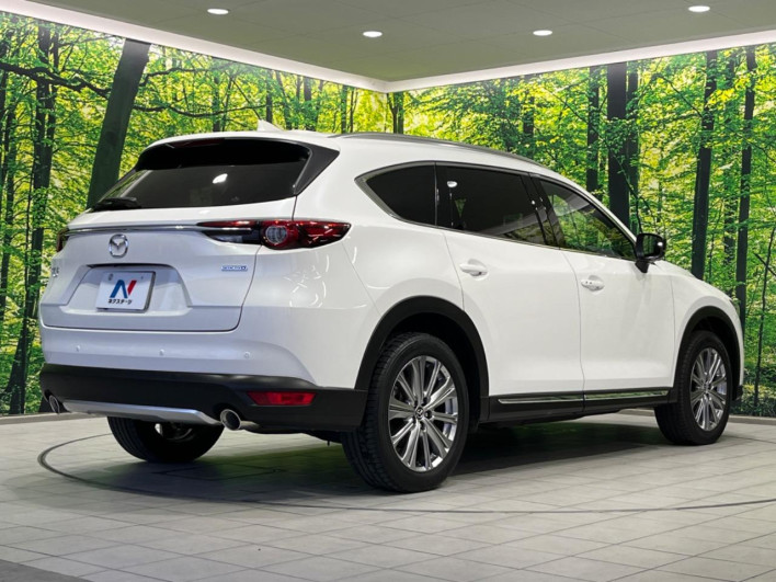 2021 Mazda CX-8 3da-kg2p (UW-69f0217bd2c90)[7]