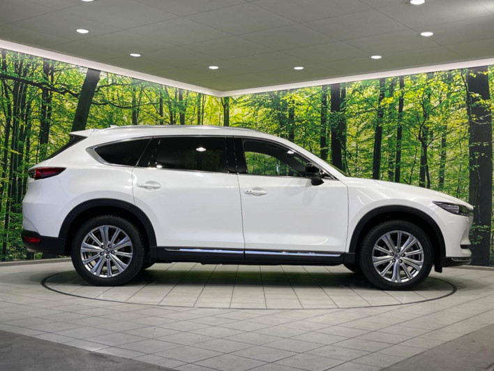 2021 Mazda CX-8 3da-kg2p (UW-69f0217bd2c90)[6]