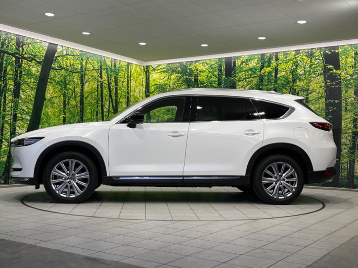 2021 Mazda CX-8 3da-kg2p (UW-69f0217bd2c90)[19]