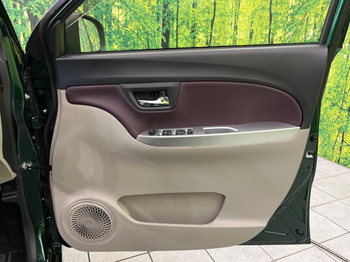 2019 Daihatsu Cast DBA-LA250S (UW-69f021875114b)[4]