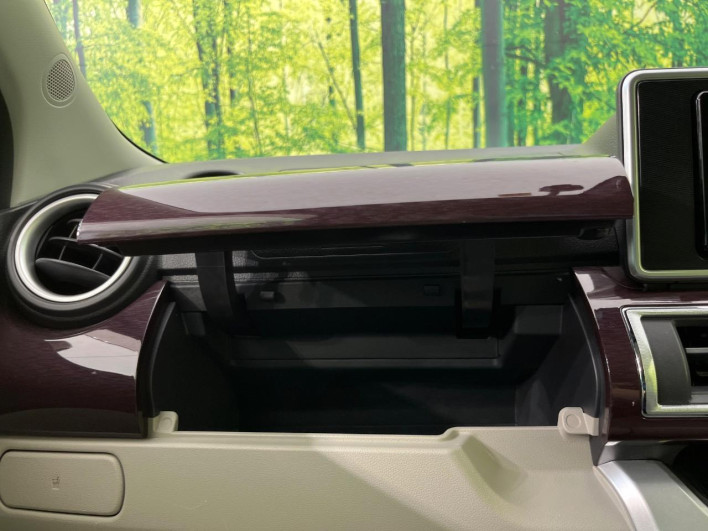 2019 Daihatsu Cast DBA-LA250S (UW-69f0218830655)[23]