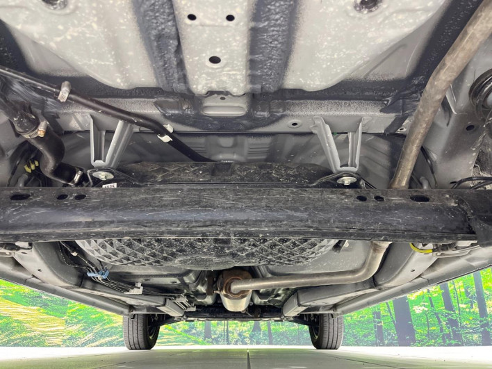2024 Daihatsu Taft 5BA-LA900S (UW-69f0219e21eba)[29]