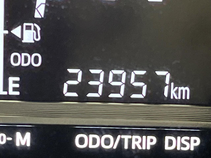 2019 Daihatsu Boon 5BA-M700S (UW-69f021a141620)[2]