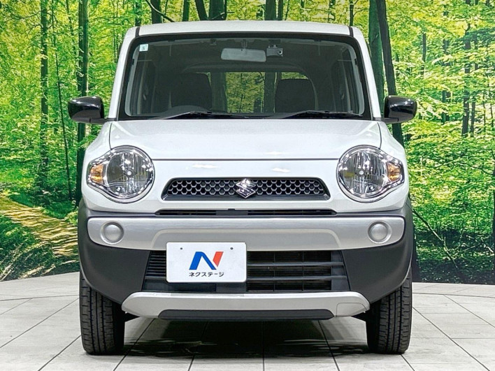 2019 Suzuki Hustler DBA-MR31S (UW-69f021c875926)[6]