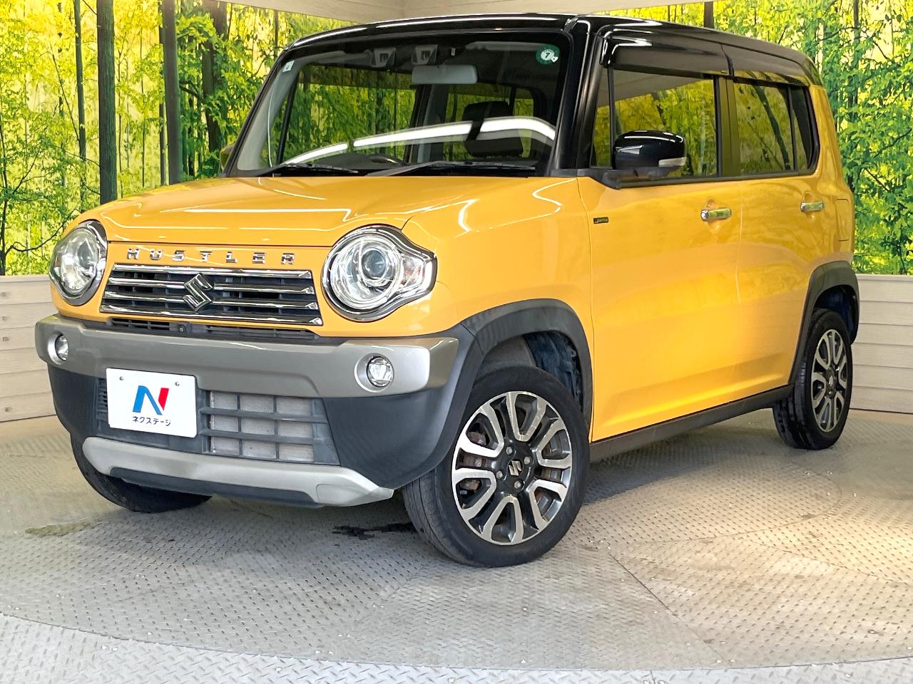 2016 Suzuki Hustler DAA-MR41S