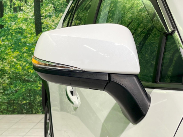 2020 Toyota RAV4 6BA-MXAA54 (UW-69f021d664401)[8]