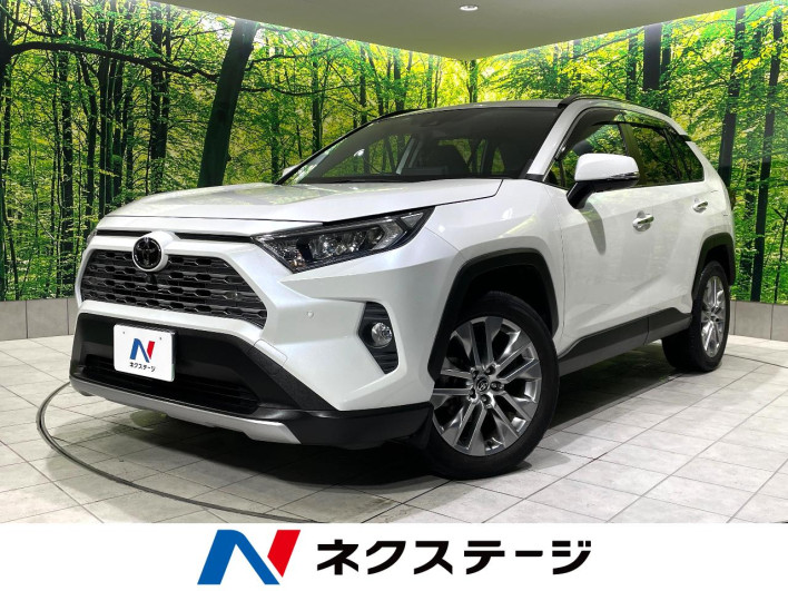 2021 Toyota RAV4 6BA-MXAA54 (UW-69f021d7479d5)[3]